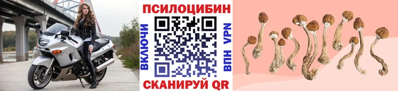 Псилоцибиновые грибы ЛСД  Майский 