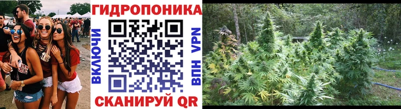 shop какой сайт  Майский  Канабис THC 21% 